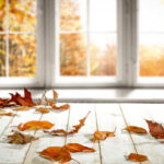 Fall Reminder – This short article explains why we should open our windows in the fall.