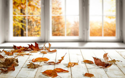 Fall-Reminder--This-short-article-explains-why-we-should-open-our-windows-in-the-fall