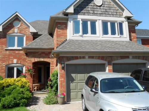 Gentak Sandlwood Color Window